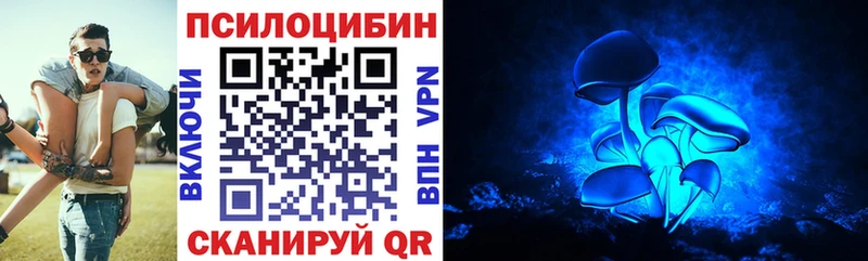 Псилоцибиновые грибы Cubensis  Купить закладки  Неман 